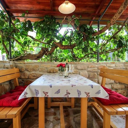 Carla Guest House Novigrad Istria Dış mekan fotoğraf