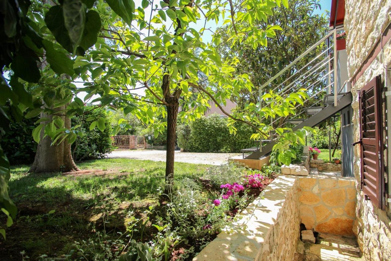 Carla Guest House Novigrad Istria Dış mekan fotoğraf