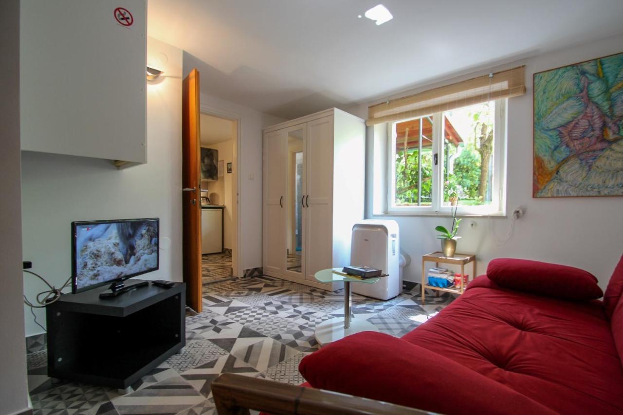 Carla Guest House Novigrad Istria Dış mekan fotoğraf